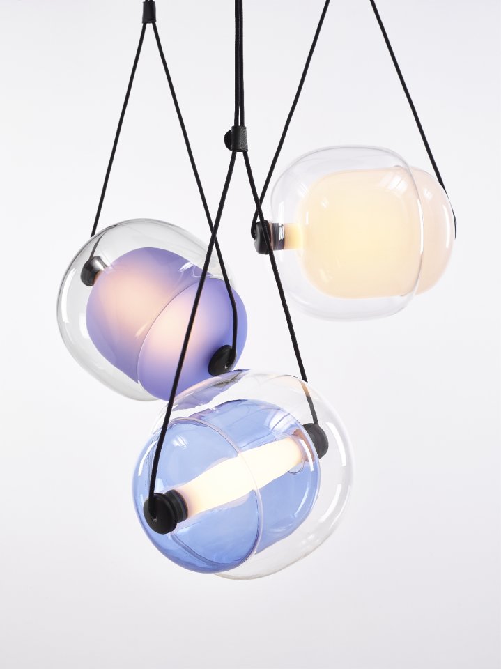 Capsula