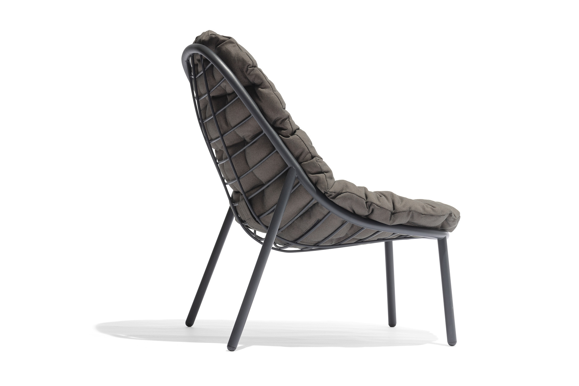 Lounge Sessel Albus